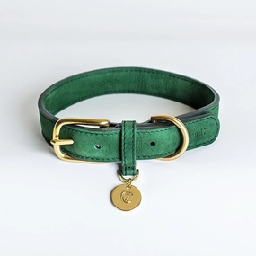 Cloud7: Tiergarten Nubuck Dog Collar in Green dog collar,leather dog collar,adjustable dog collar