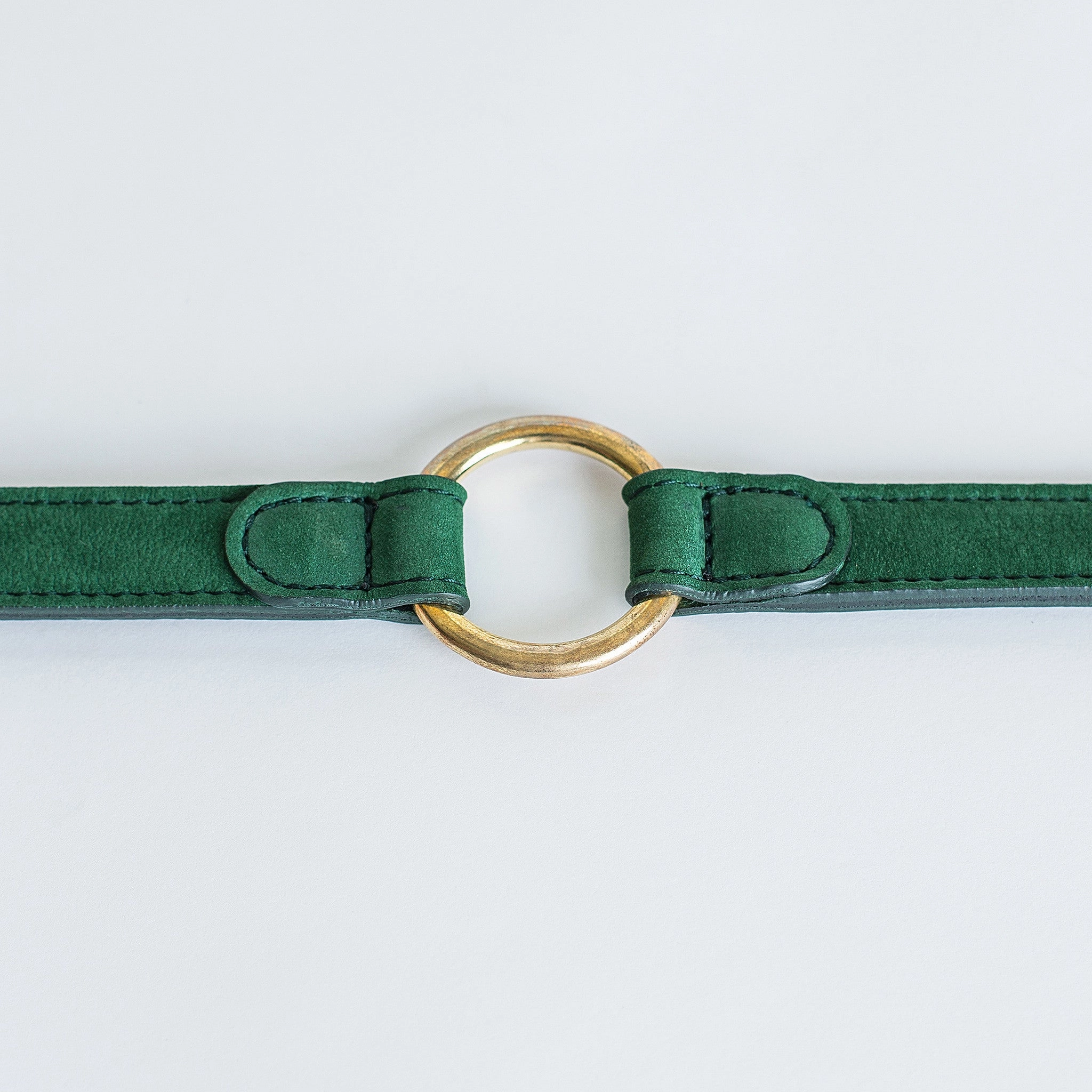 Cloud7: Tiergarten Nubuck Dog Collar in Green