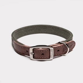 Cloud7: Tivoli Dog Collar in Canvas Leather, Olive dog collar,leather dog collar,adjustable dog collar