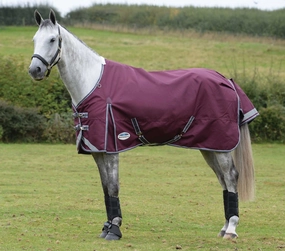 ComFITec Plus Dynamic II Standard Neck Medium Horse Blanket horse blanket,poultry bed sheet,equine sheets