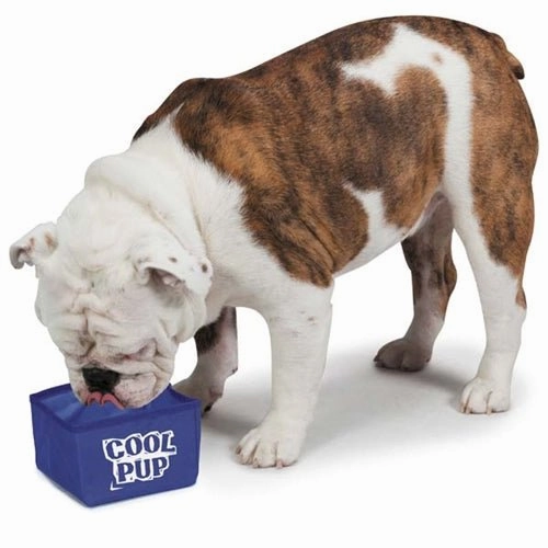 Cool Pup Portable Bowl treat storage jar,dog treat container,pet snack jar