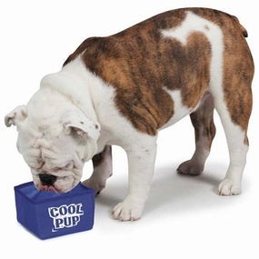 Cool Pup Portable Bowl treat storage jar,dog treat container,pet snack jar