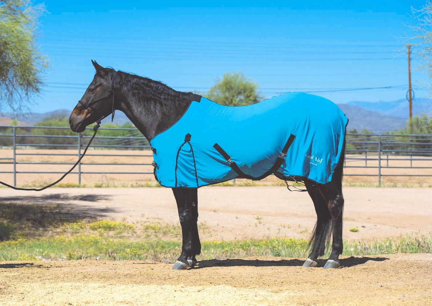 Coolcore Equine Cooling Blanket