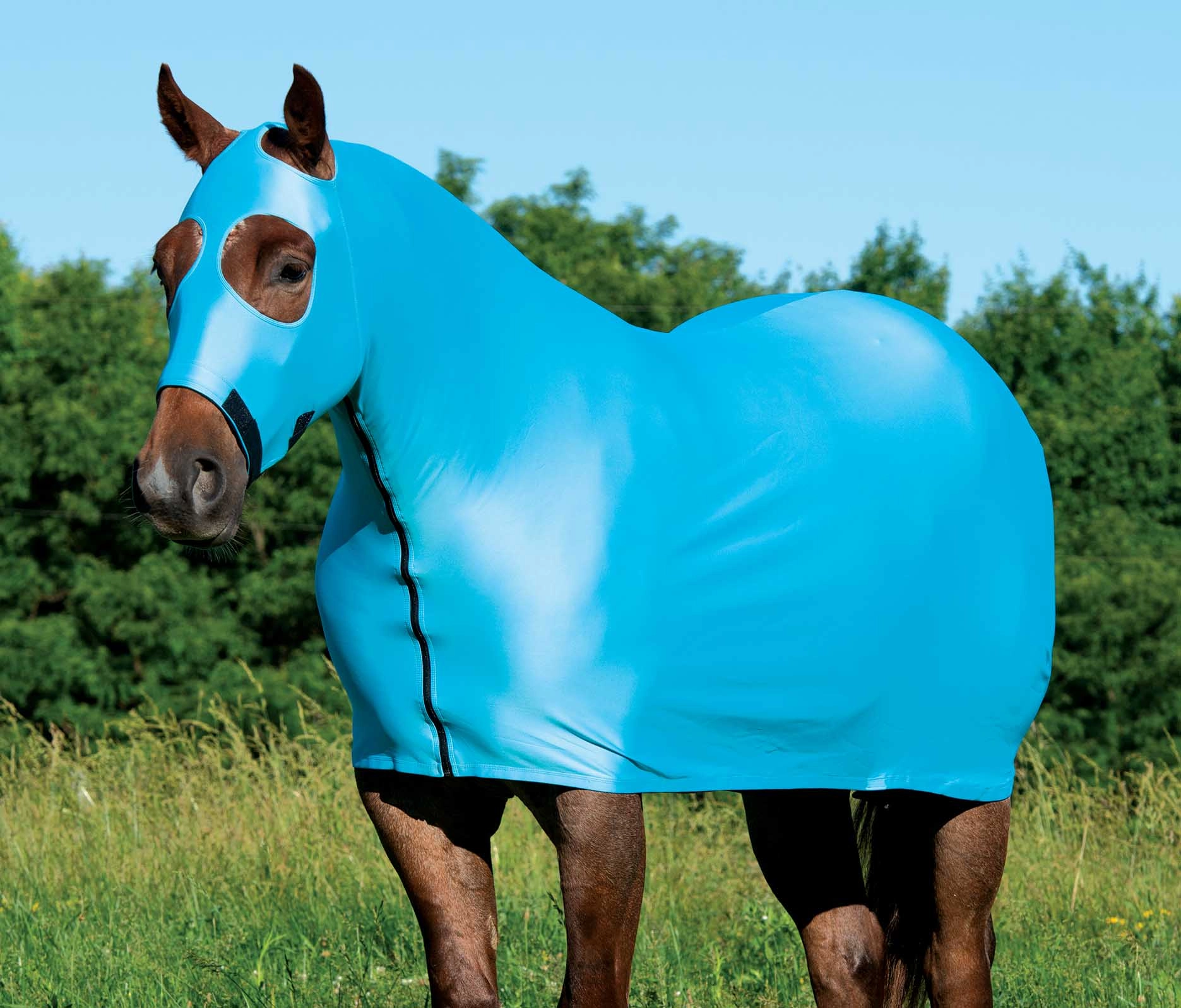 Coolcore Lycra Cooling Sheet for Horses w/ UV Protection horse blanket,poultry bed sheet,equine sheets