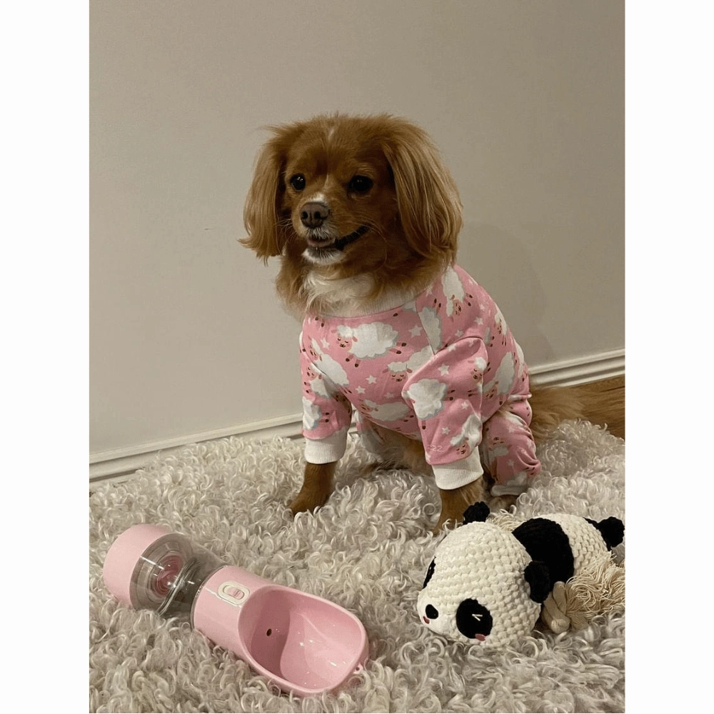 Counting Sheep Dog Pyjamas - Pink