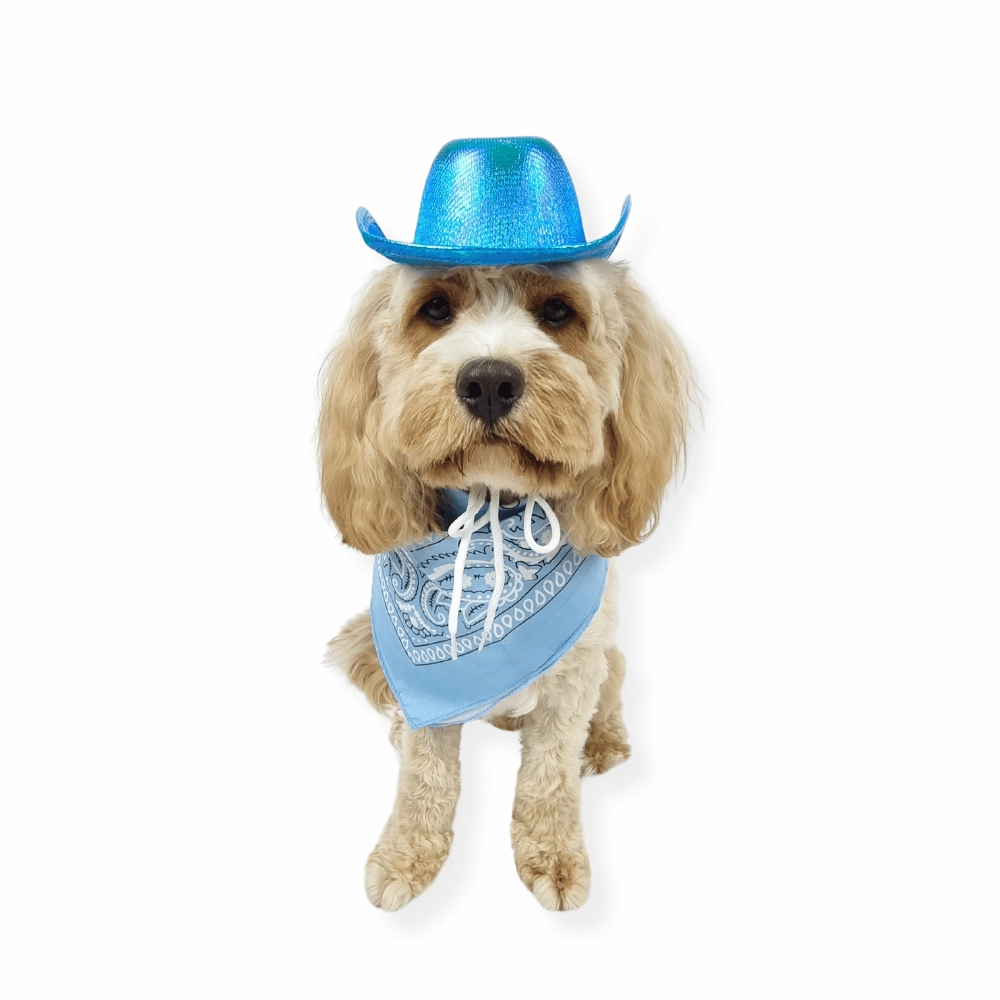 Cowboy Dog Hat and Bandana: Blue english tack set,horse saddle gear,equestrian supplies