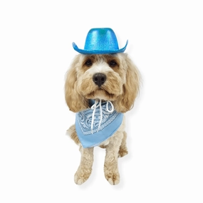 Cowboy Dog Hat and Bandana: Blue english tack set,horse saddle gear,equestrian supplies