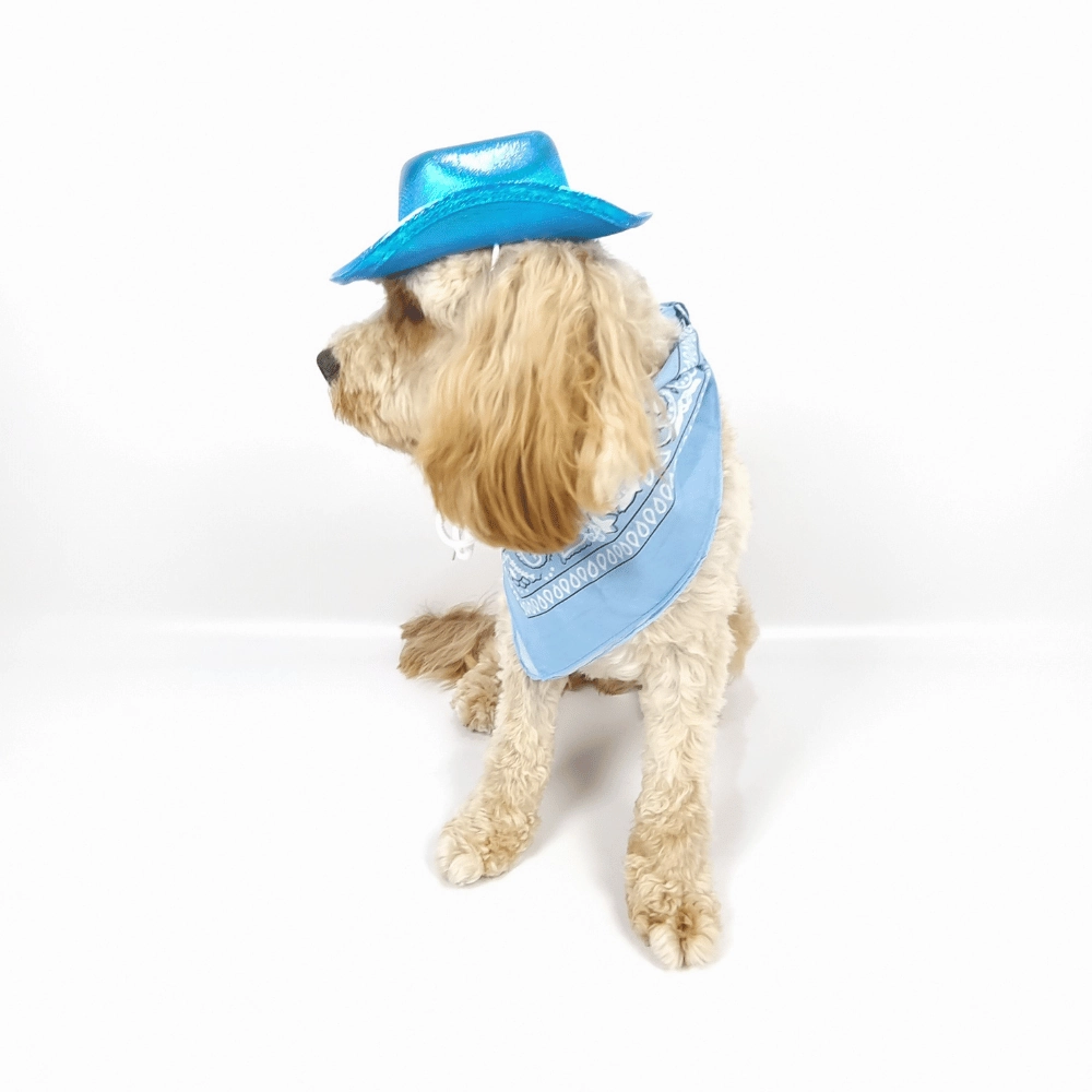 Cowboy Dog Hat and Bandana: Blue