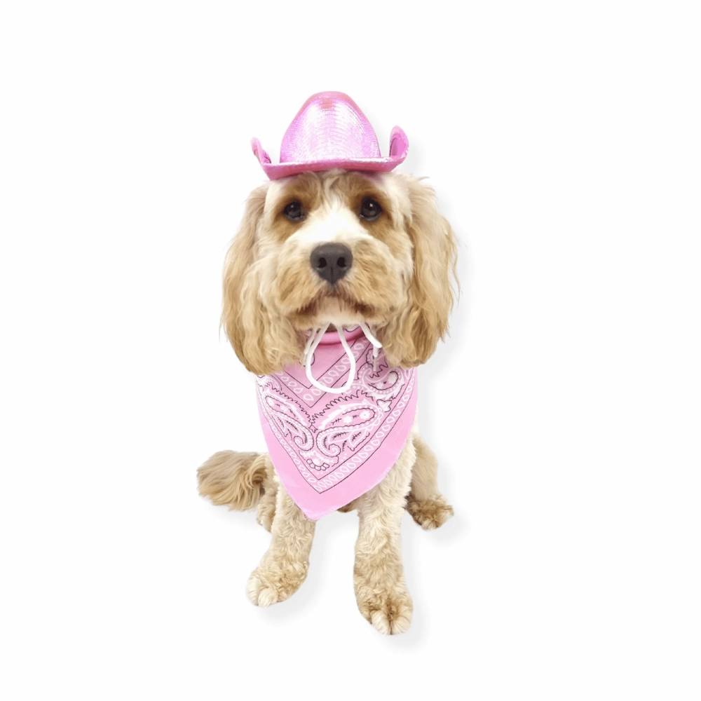 Cowgirl Dog Hat and Bandana: Pink english tack set,horse saddle gear,equestrian supplies
