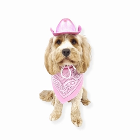 Cowgirl Dog Hat and Bandana: Pink english tack set,horse saddle gear,equestrian supplies
