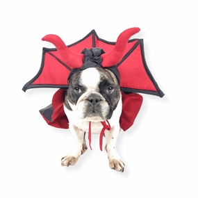 Devil Vampire Dog Costume english tack set,horse saddle gear,equestrian supplies