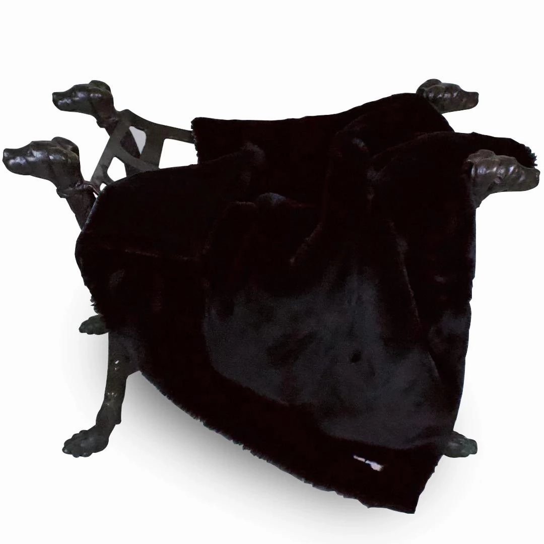 Divine Plus Dog Blanket Black fleece dog blanket,soft dog throw,cozy pet blanket