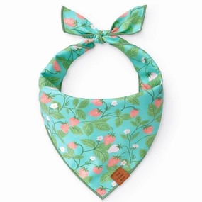 Dog and Cat Bandana: Berry Patch performance harness,agility dog vest,athletic dog gear