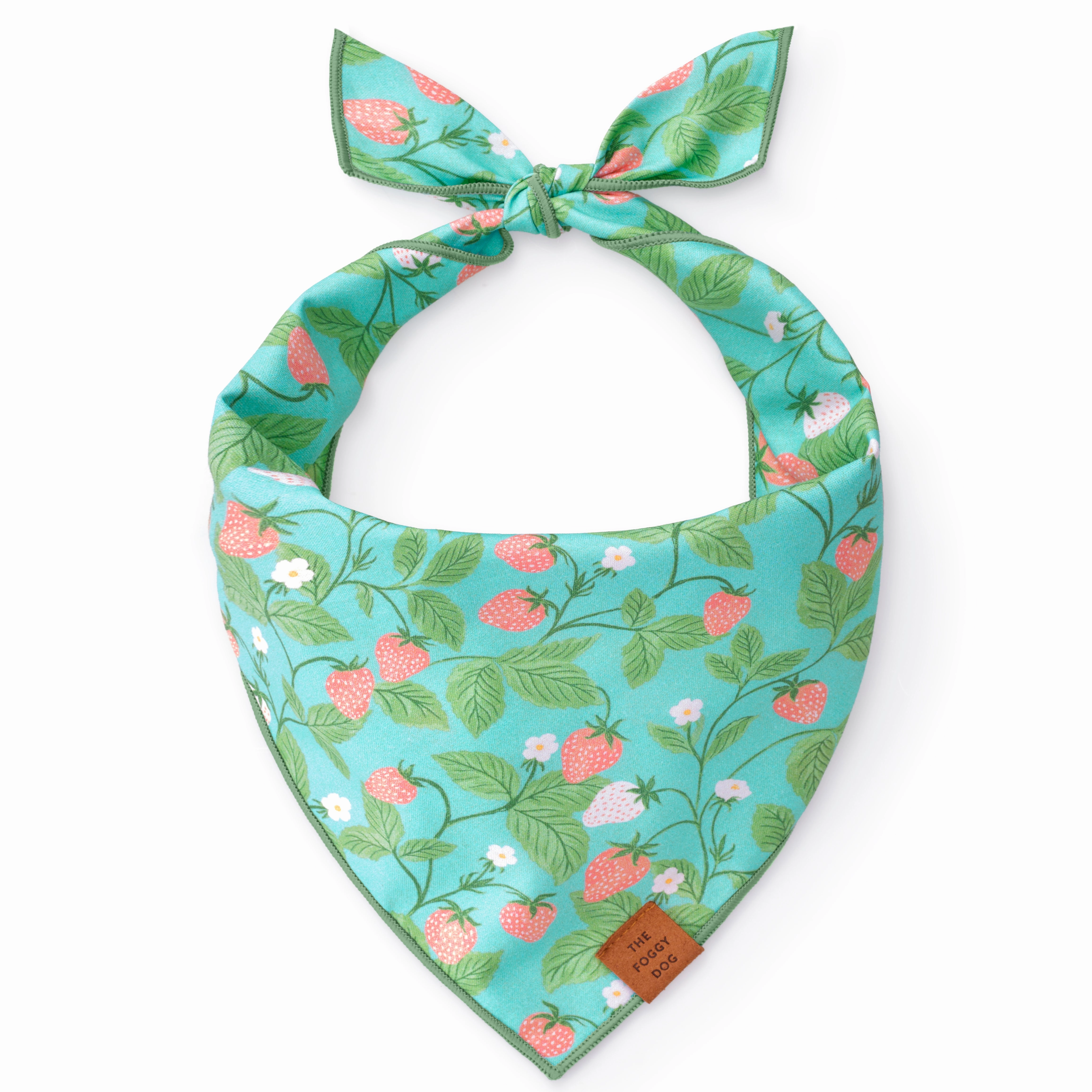 Dog and Cat Bandana: Berry Patch performance harness,agility dog vest,athletic dog gear