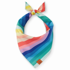 Dog and Cat Bandana: Over the Rainbow performance harness,agility dog vest,athletic dog gear
