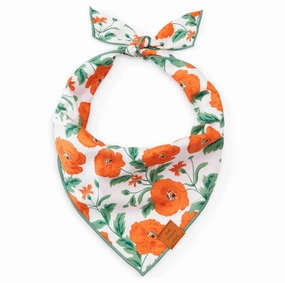 Dog and Cat Bandana: Poppies performance harness,agility dog vest,athletic dog gear