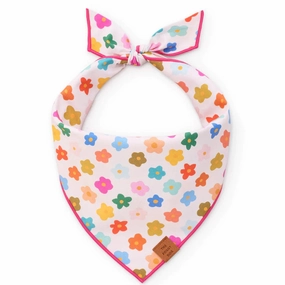 Dog and Cat Bandana: Rainbow Flower performance harness,agility dog vest,athletic dog gear