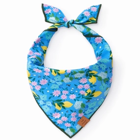 Dog and Cat Bandana: TFD x Simplified Bees in Bloom performance harness,agility dog vest,athletic dog gear