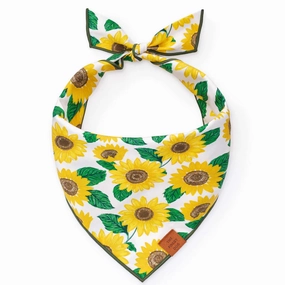 Dog and Cat Bandana: You are My Sunshine performance harness,agility dog vest,athletic dog gear