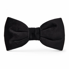 Dog and Cat Bowtie: Black Velvet performance harness,agility dog vest,athletic dog gear