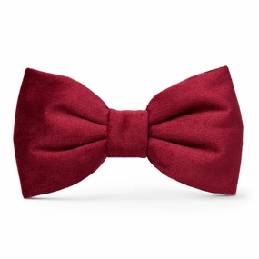 Dog and Cat Bowtie: Burgundy Velvet performance harness,agility dog vest,athletic dog gear