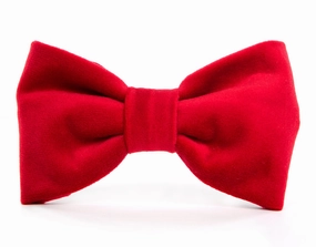 Dog and Cat Bowtie: Cranberry Velvet performance harness,agility dog vest,athletic dog gear