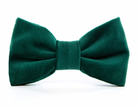 Dog and Cat Bowtie: Forest Green Velvet performance harness,agility dog vest,athletic dog gear