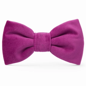 Dog and Cat Bowtie: Plum Velvet performance harness,agility dog vest,athletic dog gear