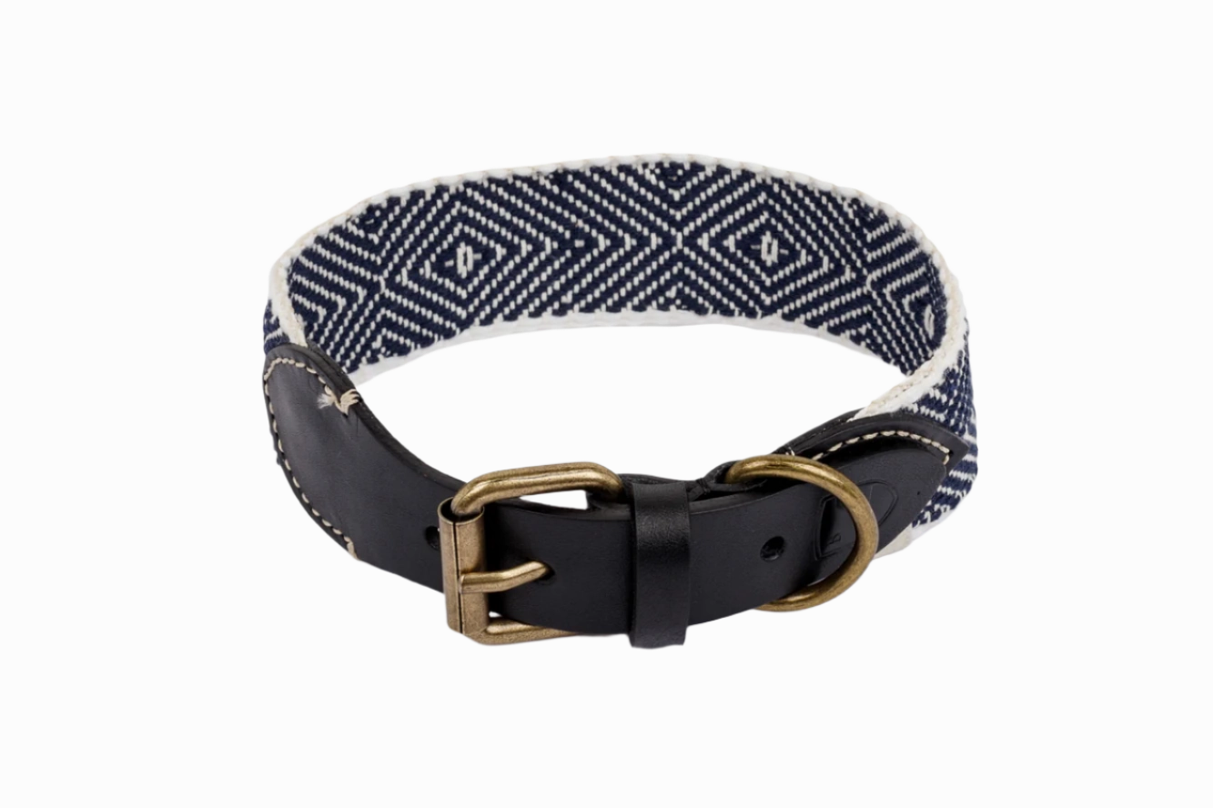 Dog Collar: Capri Party Night dog collar,leather dog collar,adjustable dog collar