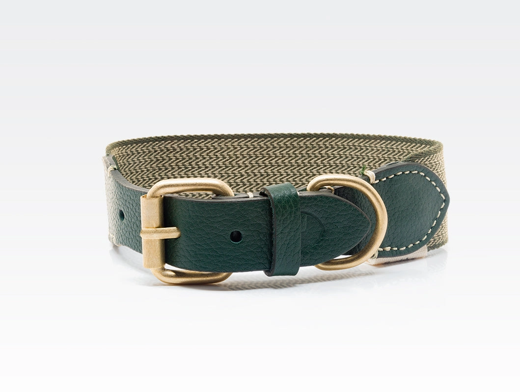Dog Collar: James Green dog collar,leather dog collar,adjustable dog collar