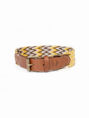 Dog Collar: Peruvian Gold dog collar,leather dog collar,adjustable dog collar