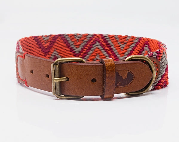 Dog Collar: Peruvian Pikes dog collar,leather dog collar,adjustable dog collar