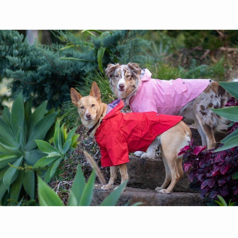 Dog Raincoat - Pink