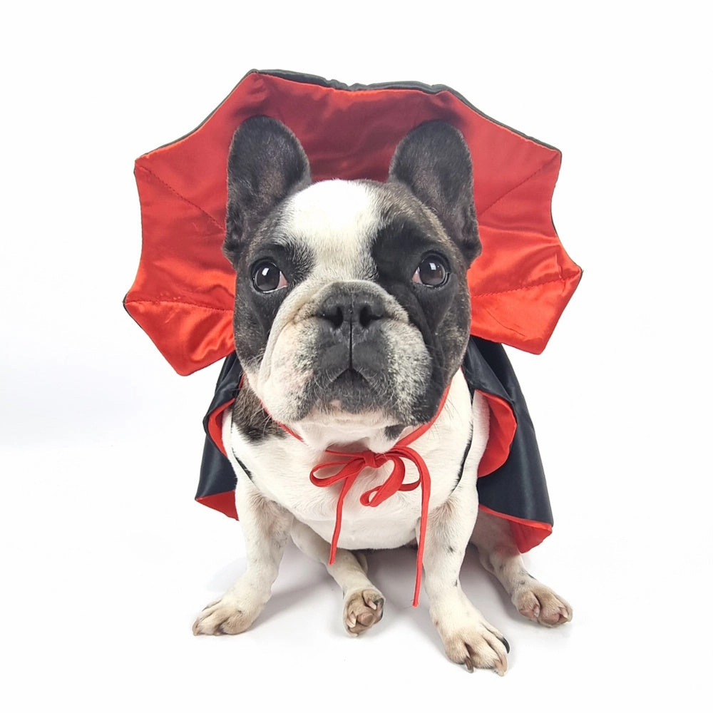 Dracula Cape Dog Costume english tack set,horse saddle gear,equestrian supplies
