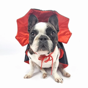 Dracula Cape Dog Costume english tack set,horse saddle gear,equestrian supplies