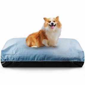 DreamCastle Cooling Natural Dog Bed (Sky) orthopedic dog bed,large dog bed,washable dog bed