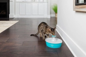 Drinkwell Butterfly Pet Fountain cat food bowl,cat feeder,elevated cat dish