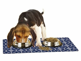 Drymate Pet Bowl Placemat, 12" x 20" cat food bowl,cat feeder,elevated cat dish