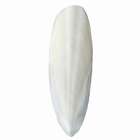 Emas 10 Cuttlefish Bone (3317) bird seed mix,small bird food,parakeet pellets