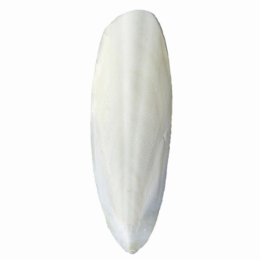 Emas 10 Cuttlefish Bone (3317) bird seed mix,small bird food,parakeet pellets