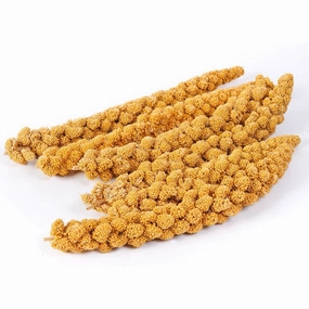 Emas 10 Gaiety Spray Millet 200g bird seed mix,small bird food,parakeet pellets