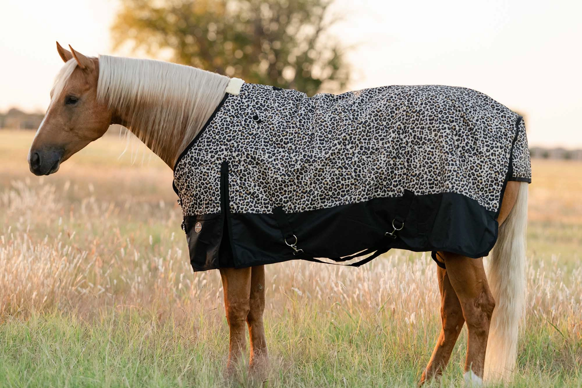Equisential 600D Standard Neck Medium Weight Blanket, Cheetah horse blanket,poultry bed sheet,equine sheets