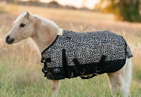 Equisential 600D Standard Neck Mini & Pony Medium Weight Blanket, Cheetah horse blanket,poultry bed sheet,equine sheets