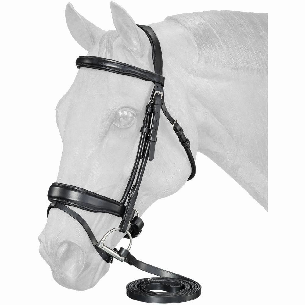 Equitare Cadence Dressage Bridle ear cleaner dog,dog eye drops,pet ear wipes