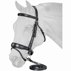 Equitare Cadence Dressage Bridle ear cleaner dog,dog eye drops,pet ear wipes