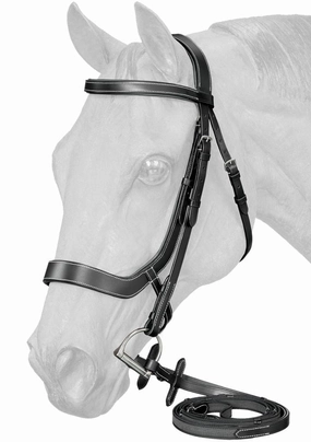 Equitare Cadence Ergonomic Bridle ear cleaner dog,dog eye drops,pet ear wipes