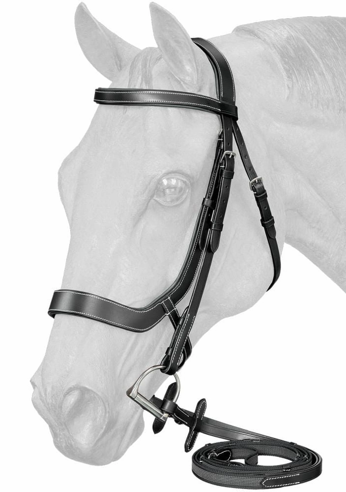 Equitare Cadence Ergonomic Bridle ear cleaner dog,dog eye drops,pet ear wipes