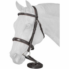 Equitare Cadence Hunter Bridle ear cleaner dog,dog eye drops,pet ear wipes