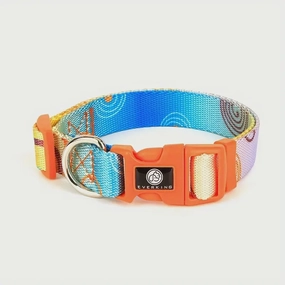 Everking Techno Dog Collars - Lake Blue - Medium dog harness and leash,reflective dog collar,pet walking gear