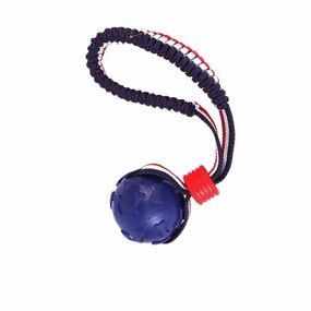 Extra Strong Bone Ball with Elastic Rope - Blue durable dog toy,rope chew toy,interactive dog toy